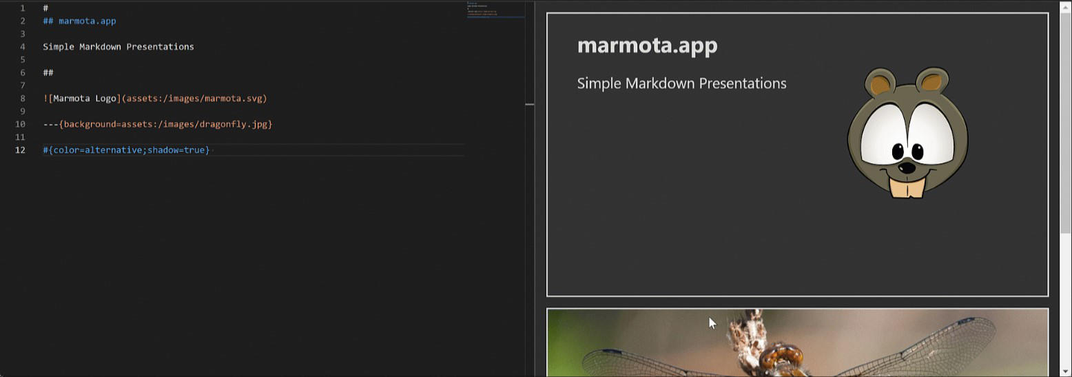Animated Overview of what Marmota can do